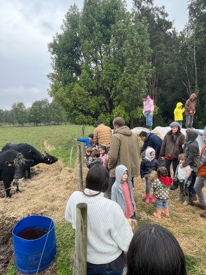 f97f0e36-ad20-41f1-b97a-705a1fa06c61